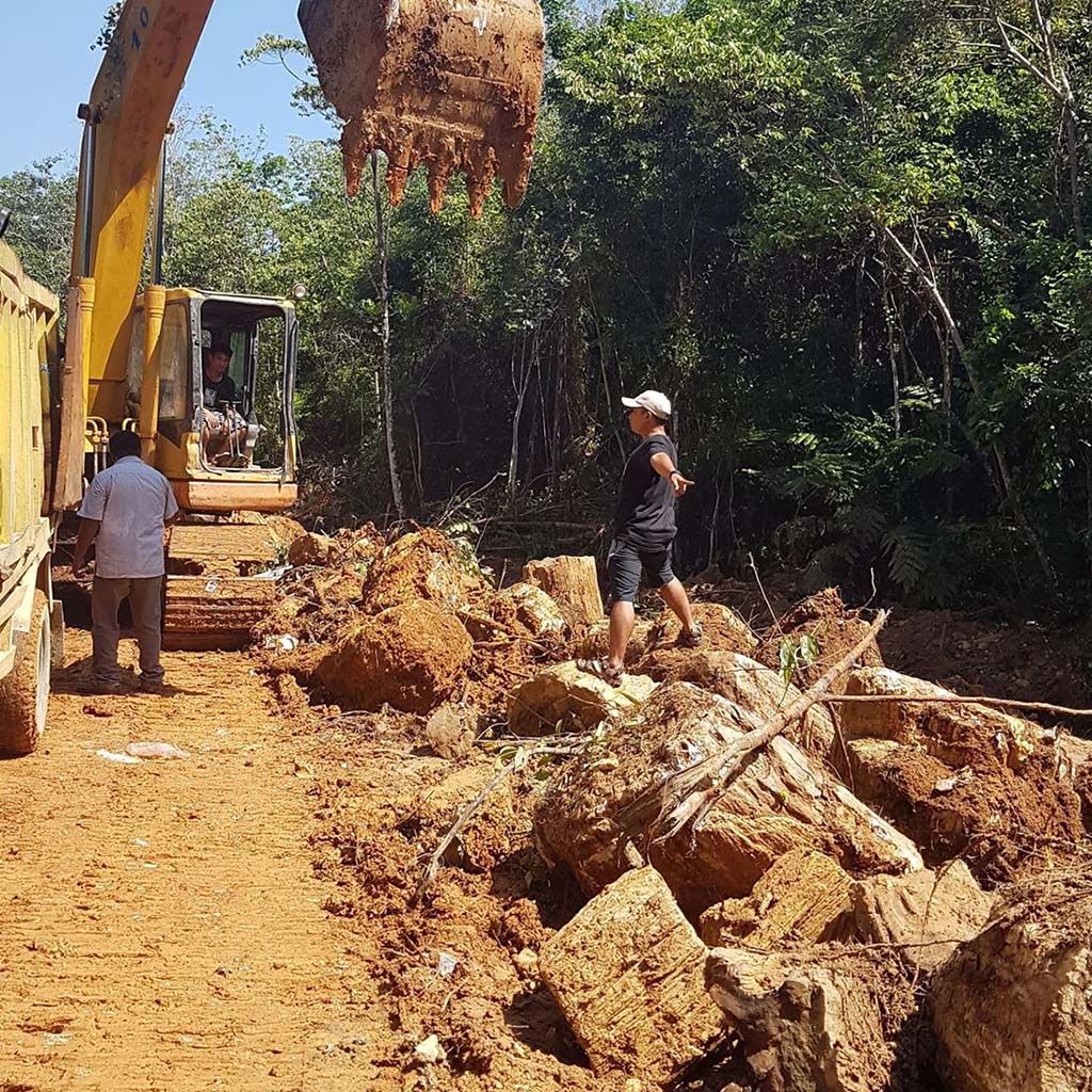 Licensed excavation of petrified wood in Indonesian forest